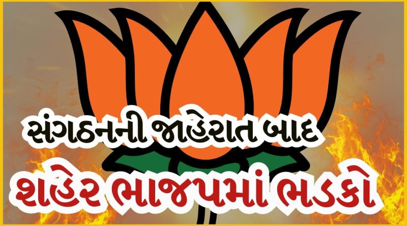 Breaking News : પદ મળ્યું પણ માન નહીં! નવસારી ભાજપમાં રાજીનામાની રાજનીતિ ગરમાઈ, જુઓ Video