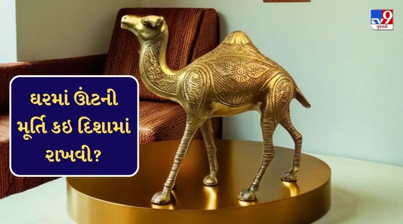 Camel Statue Home Vastu : ઘરમાં ઊંટની મૂર્તિ રાખવાથી કરિયર અને સુખ સમૃદ્ધિમાં થાય છે વધારો, જો કે આ દિશામાં જ રાખવી મૂર્તિ