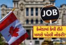 Canada Jobs : કેનેડામાં કેવી રીતે મળશે પહેલી નોકરી? વિદ્યાર્થીઓ માટે ઉપયોગી 5 મહત્વની ટિપ્સ જાણી લો