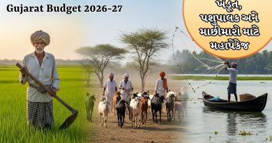 Gujarat Budget 2026-27: કૃષિથી મત્સ્યોદ્યોગ સુધી વિકાસની દોડ, ખેડૂતોને મળશે સીધી સહાય અને ટેકનોલોજીનો લાભ