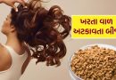 fenugreek seeds : વાળ ખરતા અટકાવશે આ ચમત્કારિક દાણા, જાણો ફાયદા