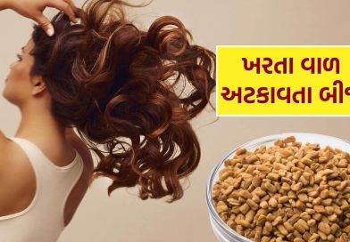 fenugreek seeds : વાળ ખરતા અટકાવશે આ ચમત્કારિક દાણા, જાણો ફાયદા