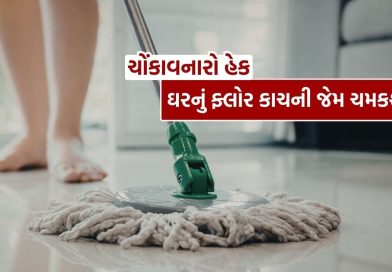Floor Cleaning Hacks : પોતું કરતી વખતે પાણીમાં આ બે વસ્તુઓ મિક્સ કરો, ઘરનું ફ્લોર કાચની જેમ ચમકશે…