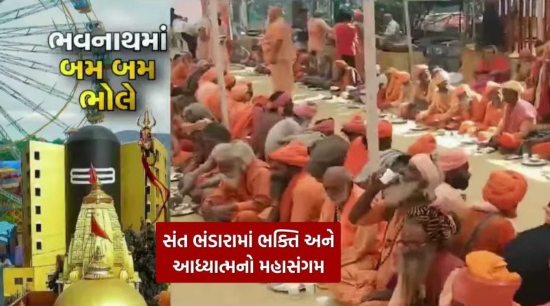 Mahashivratri : ભક્તિ અને સેવાનો અનોખો સંગમ, જૂનાગઢમાં મહાશિવરાત્રીના મેળામાં સંત ભંડારો