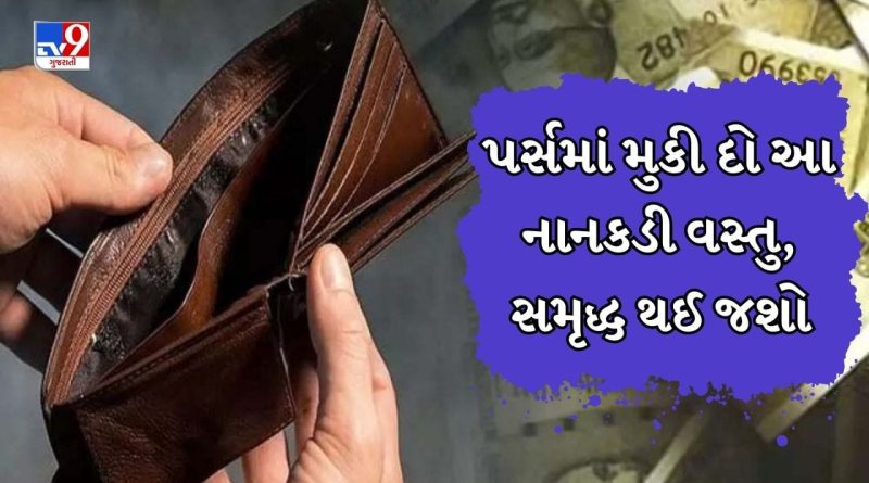 Vastu Tips :  તમારા પર્સમાં મુકી દો આ નાનકડી પોટલી, તમામ નાણાકીય સમસ્યાઓ દૂર થઇ જશે