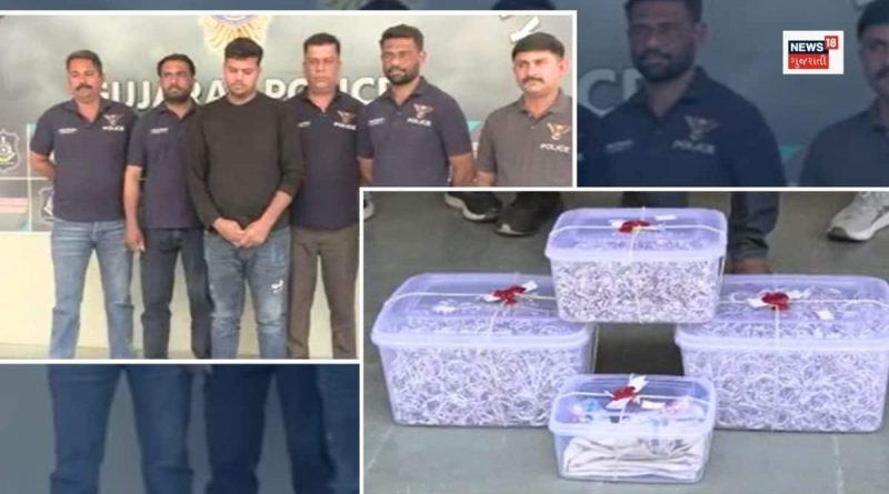 રાજકોટમાં 130 કિલો ચાંદીના દાગીના ચોરીના તાર અમદાવાદ સાથે જોડાયા, પ્રદીપ પ્રજાપતિની ધરપકડ