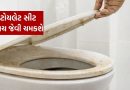 Toilet Seat cleaning : ટોયલેટ સીટ પરથી પીળા ડાઘ મિનિટોમાં દૂર કરવાના ઘરેલુ ઉપાયો