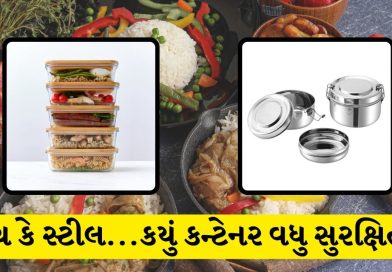 Glass vs Steel Container: કાચ કે સ્ટીલ, ટિફિન શેમાં પેક કરવુ જોઇએ? જાણો Health માટે કયું છે વધુ સલામત
