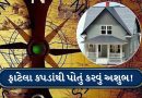 Vastu Tips: શું તમે પણ જૂના કપડાંથી ફ્લોર સાફ કરો છો? વાસ્તુમાં બતાવ્યા છે આ નુકસાન