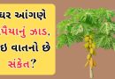 Vastu Tips : તમારા ઘર સામે છે પપૈયાનું ઝાડ? જાણો શુભ છે કે અશુભ