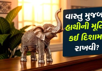 Vastu Tips: વાસ્તુ મુજબ ઘરમાં હાથીની મૂર્તિ કઈ દિશામાં રાખવી ? જાણો લાભ અને નિયમો
