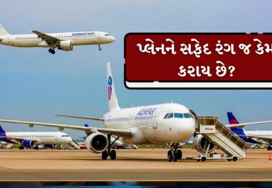 Knowledge Story:  પ્લેનનો રંગ સફેદ જ કેમ હોય છે? આના પાછળનું વૈજ્ઞાનિક કારણ જાણો