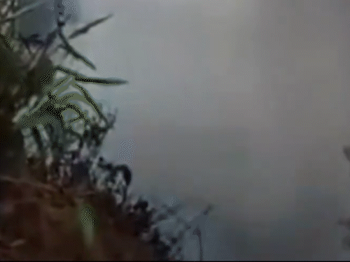 મેઘાલયમાં ગેરકાયદેસર કોલસાની ખાણમાં વિસ્ફોટ, 16ના મોત:ઘણા મજૂરો ફસાયા હોવાની આશંકા, બચાવ કામગીરી ચાલુ