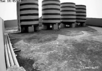 ભુવનેશ્વરમાં છત પર ધમાકો, CCTVમાં ઘટના કેદ:બદલો લેવા માટે પરિવાર બોમ્બ બનાવી રહ્યો હતો; 4 લોકો ખરાબ રીતે દાઝી ગયા, બેનાં મોત