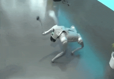 ગલગોટિયા યુનિવર્સિટીની ગોલમાલ પકડાઈ!:AI સમિટમાં ‘ઓરિયન’ નામથી ચીની રોબોટ ઉતારી પોતાનો ગણાવ્યો; વિવાદ બાદ સરકારની કડકાઈ