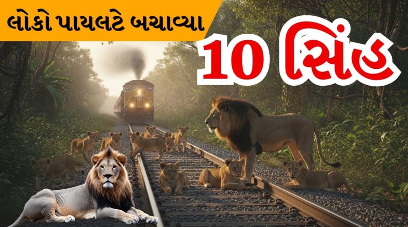 Breaking News : રેલવે ટ્રેક પર 10 સિંહ! એક સેકન્ડ મોડું પડ્યું હોત તો… જાણો શું થયું