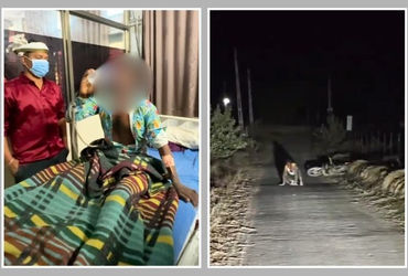 પાલનપુરમાં હડકાયા શ્વાન જેવું વર્તન કરતો યુવક 24 કલાકમાં સ્વસ્થ, જાણો ડોક્ટરોએ શું કહ્યું?