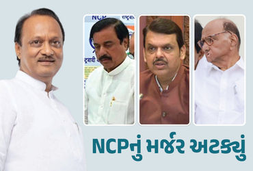 શરદ પવારને ઝટકો! અજિત પવારના નિધન બાદ બદલાયા સમીકરણો, NCPનું વિલિનીકરણ અટક્યું