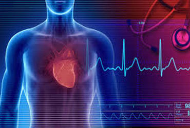 ગોંડલમાં શારીરિક કસોટી પાસ કર્યા બાદ યુવાનનું હદય થંભી ગયું