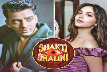 અનીત પડ્ડા આગામી ફિલ્મમાં 31 વર્ષના અભિનેતા સાથે રોમાન્સ કરશે