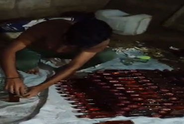 રાજકોટ જિ.પંચાયતના ભાજપના સદસ્યાની વાડીમાં નકલી દારૂની મિનિ ફેક્ટરી ઝડપાઈ