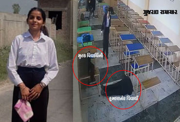 ધ્રુજાવી દેનારો VIDEO: પંજાબની લૉ કોલેજમાં વિદ્યાર્થિનીની ગોળી મારી હત્યા, બાદમાં યુવકે પણ જીવન ટૂંકાવ્યું