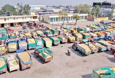 કૃષિ અને સહકાર વિભાગનો નિર્ણય, 09 APMCમાં ચૂંટણીની જાહેરાત, 15 APMCની મુદતમાં 6 મહિનાનો વધારો