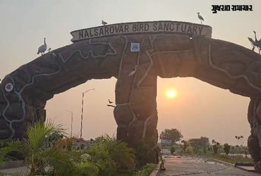 પક્ષીઓનું સ્વર્ગ બન્યું નળ સરોવર, 270 પ્રજાતિના 6.42 લાખથી વધુ પક્ષીઓની હાજરી, ગણતરીની ટેકનિક જાણવા જેવી