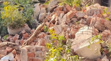 જર્જરિત સરકારી બિલ્ડીંગ તોડતા સમયે કાટમાળ વૃક્ષ-વીજ પોલ પર પડયો