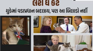 UKનો સરકારી બિલાડો ‘લેરી’: 6 PM બદલાયા પણ તે 15 વર્ષથી ‘સત્તા’માં! વર્લ્ડ લીડર્સ સામે પણ રાજા જેવો મિજાજ