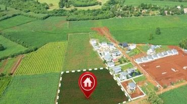 જામનગર જિલ્લામાં ડિજિટલ ક્રોપ સર્વેની ચકાસણી માટે આર્ટિફિશિયલ ઈન્ટેલિજન્સ બોટની મદદ લેવાશે