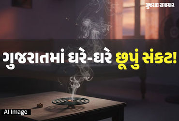 સાવધાન! ‘હર્બલ’ના નામે 10 રૂપિયામાં વેચાતી મચ્છર અગરબત્તી પડી શકે છે મોંઘી, ગુજરાત ગેરકાયદે ઉત્પાદનનું હબ