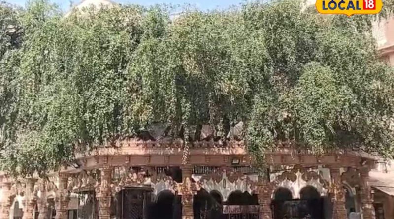 રાજકોટના આ મંદિરમાં છુપાયેલું છે 200 વર્ષ જૂનું રહસ્ય, બોરડીમાં નથી એક પણ કાંટો