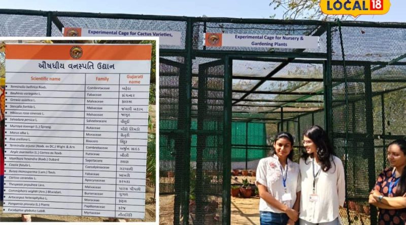 સૌરાષ્ટ્ર યુનિવર્સિટીમાં બન્યું જીવંત લેબોરેટરી જેવું બોટનિકલ ગાર્ડન, વિદ્યાર્થીઓને થશે આ લાભ