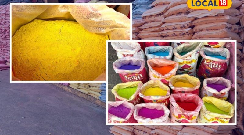 અમેરિકા સુધી પહોંચ્યા રાજકોટના રંગો, જાણો કેવી રીતે બને છે પ્યોર હર્બલ કલર