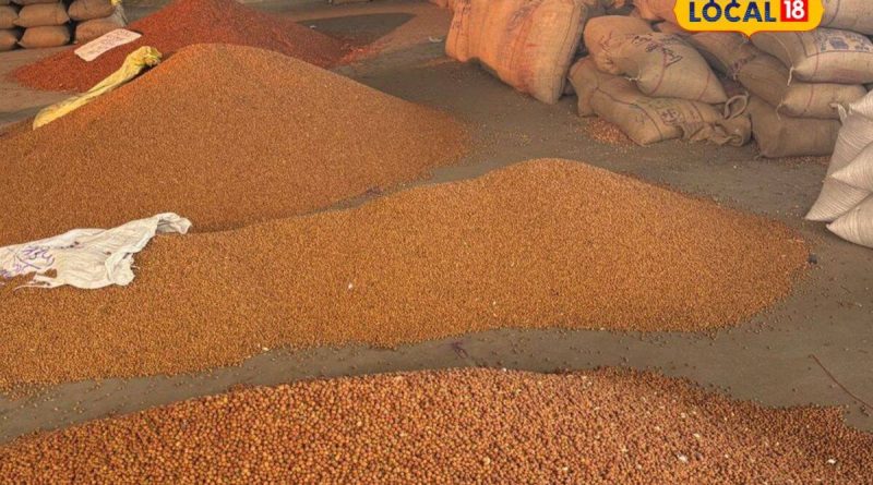 રાજકોટ યાર્ડમાં ખેડૂતો મોટી સંખ્યામાં જણસી વેચવા પહોંચ્યા, જાણો કેટલા રૂપિયા મળ્યા