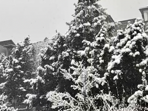 MPના 8, UPના 10 જિલ્લામાં વરસાદ:હિમાચલ-ઉત્તરાખંડમાં હિમવર્ષા, અટલ ટનલમાં હિમપ્રપાત થયો; યુપીમાં ધુમ્મસના કારણે 15 ગાડીઓ અથડાઈ