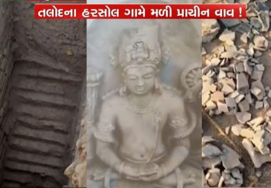 સાબરકાંઠાના તલોદના હરસોઈમાં ખોદકામ દરમિયાન જમીનમાં ધરબાયેલી કલાત્મક વાવ મળી આવી