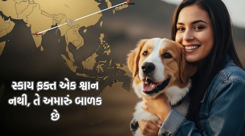 લાગણી હોય તો આવી….. એક ભારતીય દંપતીએ પોતાના પાલતુ શ્વાન માટે ₹15 લાખ ખર્ચ્યા. કહ્યુ- ‘સ્કાય અમારું બાળક છે