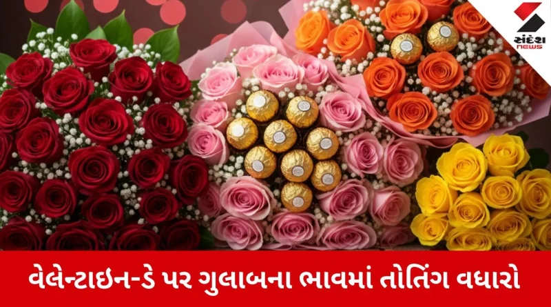 Rajkot News: વેલેન્ટાઇન-ડે પર ગુલાબના ભાવમાં અધધ વધારો