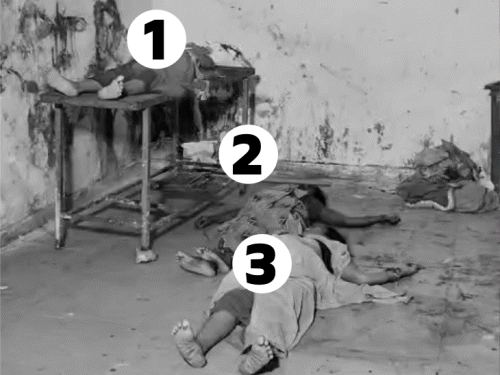 બિહારઃ નાલંદાના શીતળાષ્ટમી મંદિરમાં ભાગદોડ, 8નાં મોત:6 ઘાયલ; ચૈત્ર મહિનાના છેલ્લા મંગળવારે ભક્તોની ભીડ ઊમટી હતી