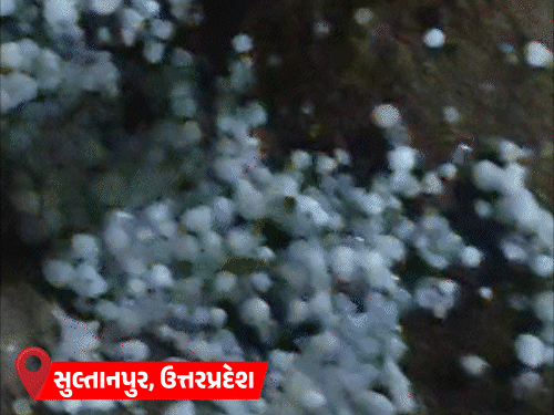 હિમાચલ સહિત 7 રાજ્યોમાં કરા પડી શકે છે:રાજસ્થાનમાં 2 દિવસ વાવાઝોડા-વરસાદનું એલર્ટ; ઉત્તરાખંડમાં હિમવર્ષાની સંભાવના