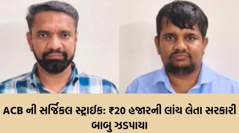 સરકારી કચેરીમાં જ ખેલ ખતમ ! ₹20 હજારની લાંચ લેતા નાયબ મામલતદાર અને પટાવાળો ACBના સકંજામાં, ખેડૂતની ફરિયાદ પર મોટી કાર્યવાહી