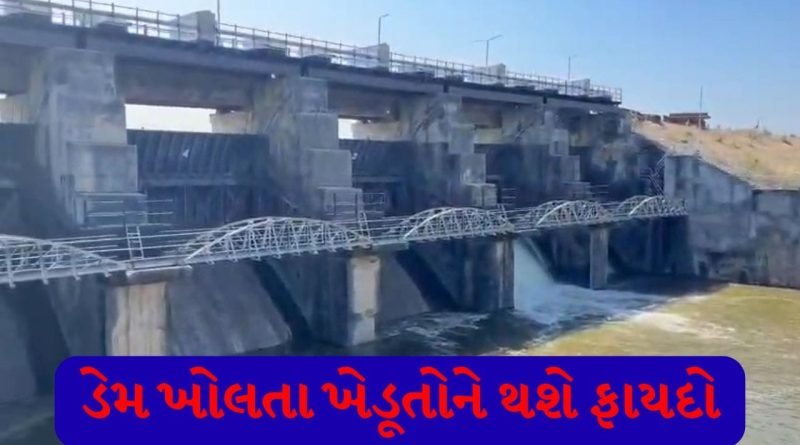 અમરેલીમાં ભરઉનાળે નદીઓ થઈ જીવંત, વડિયાના સુરવો ડેમનો દરવાજો ખોલાયો, ખેડૂતોમાં ખુશીની લહેર!