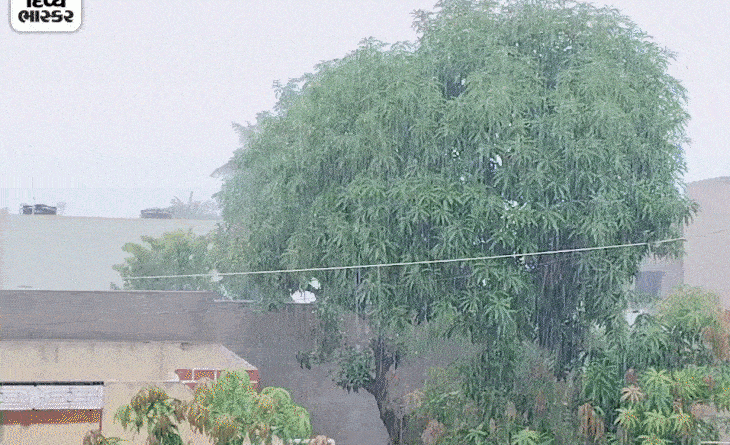 આ વર્ષે ચોમાસું નબળું રહેશે:આ વખતે સામાન્યથી ઓછો વરસાદ પડવાની શક્યતા, ચોમાસાને લઈને પહેલી આગાહી જાહેર થઈ