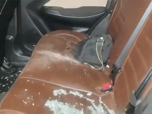 પશ્ચિમ બંગાળ-મતદાર યાદીમાંથી નામ કપાયું:ચૂંટણી અધિકારીઓને ઘેરવામાં આવ્યા, પ્રદર્શનકારીઓએ ગાડીઓના કાચ તોડ્યા, પોલીસે બચાવ્યા