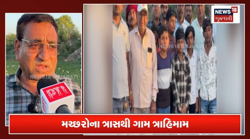 રાજકોટના આ ગામમાં કોઈ દીકરી દેવા તૈયાર નથી! કારણ જાણીને ચોંકી જશો