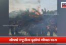 કાળઝાળ ગરમી વચ્ચે પાટીયાળી ગામની સીમમાં ખજૂરીના વૃક્ષોમાં ભીષણ આગ