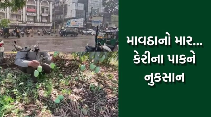 ભાવનગર શહેરમાં કમોસમી વરસાદ વરસતા કેરીના પાકને ભારે નુકસાન- જુઓ Video