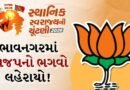 Bhavnagar Local Body Election Result: ભાવનગર જિલ્લામાં ભાજપનો ભગવો લહેરાયો, મહુવા-વલભીપુર-પાલીતાણા સાથે મહાનગરપાલિકામાં પણ દબદબો
